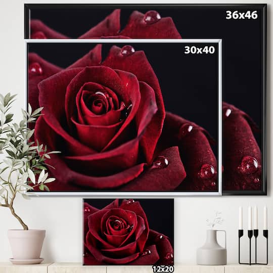 Designart - Red Rose with Raindrops on Black